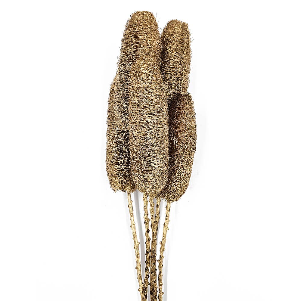 23.5" 5PC/Bunch Golden Harvest Twig Stem (In Store Pick-Up only)