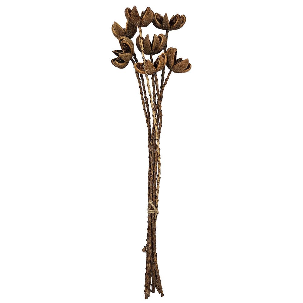 23.5" 7PC/Bunch Wild Orange Twig Stem (In Store Pick-Up)