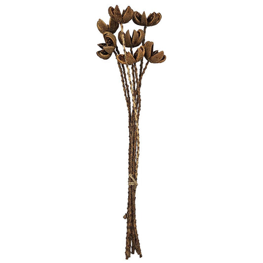 23.5" 7PC/Bunch Wild Orange Twig Stem (In Store Pick-Up)