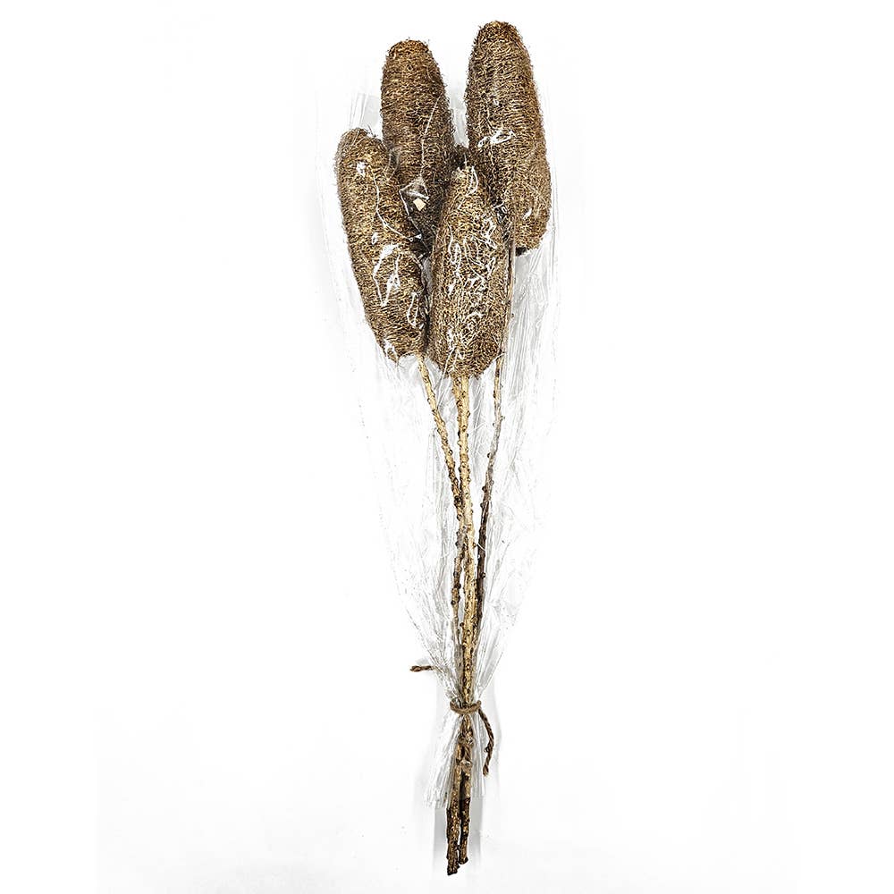 23.5" 5PC/Bunch Golden Harvest Twig Stem (In Store Pick-Up only)