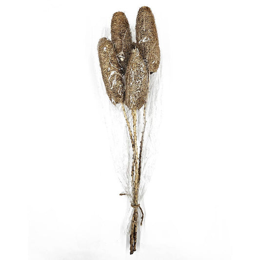 23.5" 5PC/Bunch Golden Harvest Twig Stem (In Store Pick-Up only)