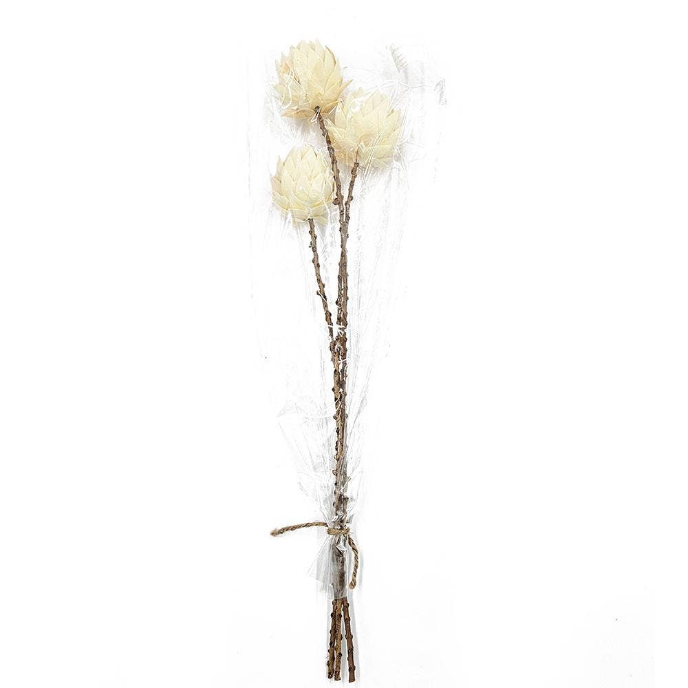 23.5" 3Pcs/Bunch Palm Artichoke D3" On Twig Stem (In Store Pick-Up Only)